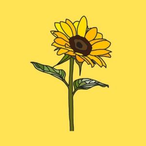 Meet your Posher, Lainey